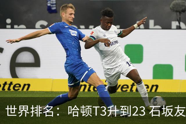 世界排名：哈顿T3升到23 石坂友宏日巡首胜412位