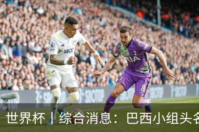 世界杯丨综合消息：巴西小组头名晋级 南非创造球队历史